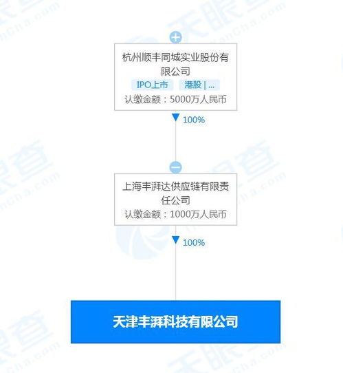 从软件开发到技术服务 构建数字时代的核心引擎