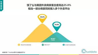2017年上半年中国移动互联网发展分析 软件与技术服务的新趋势